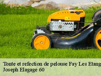 Tonte et refection de pelouse fay-les-etangs-60240 Joseph Elagage 60
