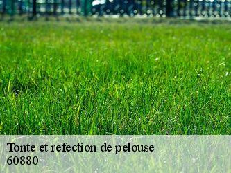 Tonte et refection de pelouse  60880