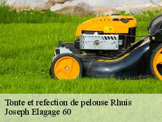 Tonte et refection de pelouse  rhuis-60410 Joseph Elagage 60